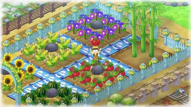 DORAEMON STORY OF SEASONS: Friends of the Great Kingdom - PC Windows