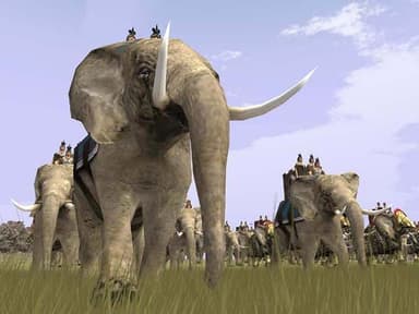 Medieval Total War Collection - PC Windows