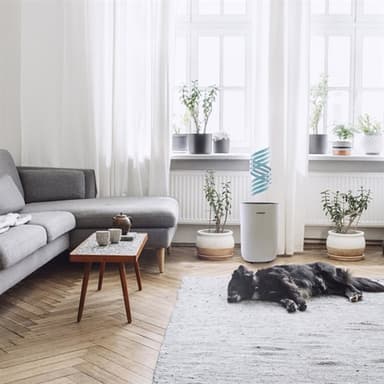 eeese Emil ilmankuivain 10L/vrk, jossa on automaattinen tila ja kuivaustoiminto